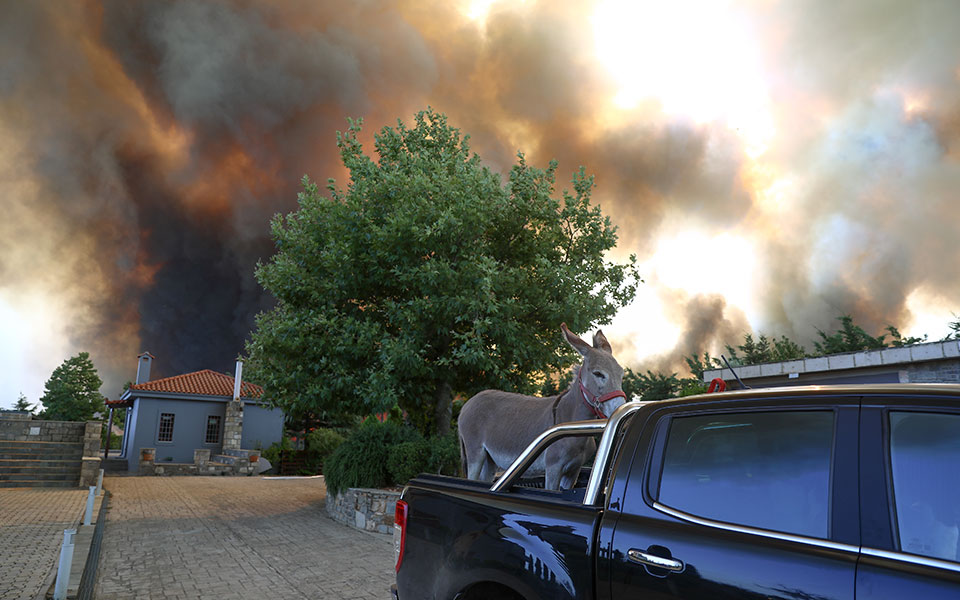 συγκινητική-συνδρομή-πολιτών-σε-πυρό-561458920