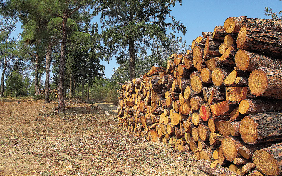 έκθεση-του-wwf-για-προφύλαξη-των-δασών-561459085