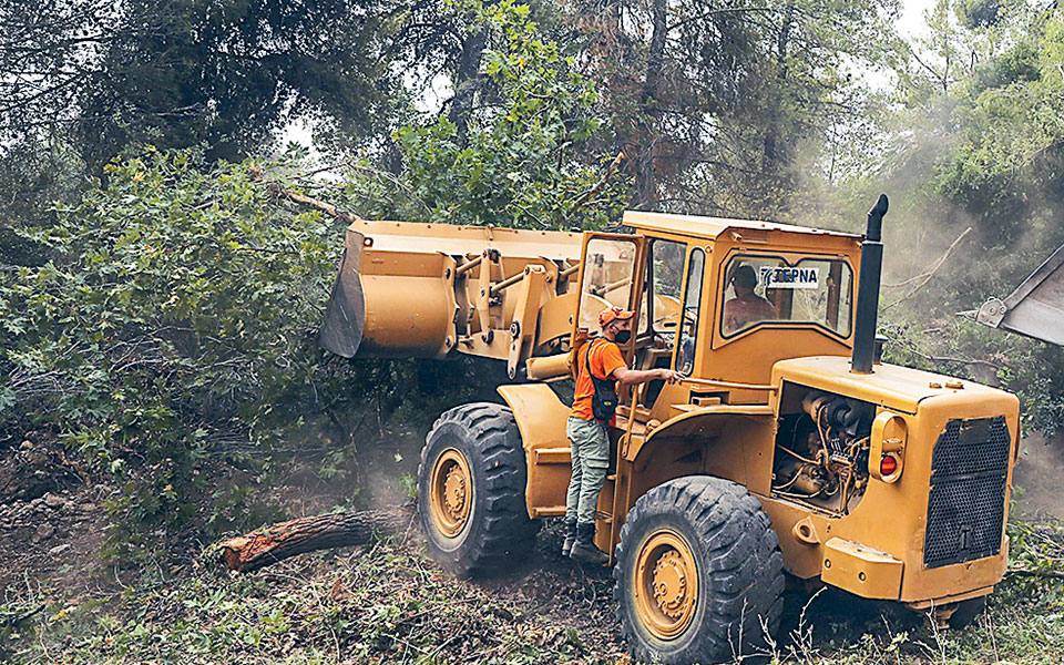 πυρκαγιές-τα-δάση-και-η-αλήθεια-561460078
