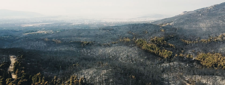 Αυτοψία της «Κ»: Το Τατόι «γυμνό» μέσα στη στάχτη και το γκρίζο-1