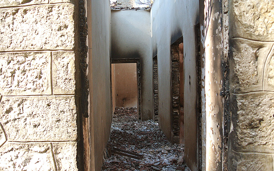 Αυτοψία της «Κ»: Το Τατόι «γυμνό» μέσα στη στάχτη και το γκρίζο-2