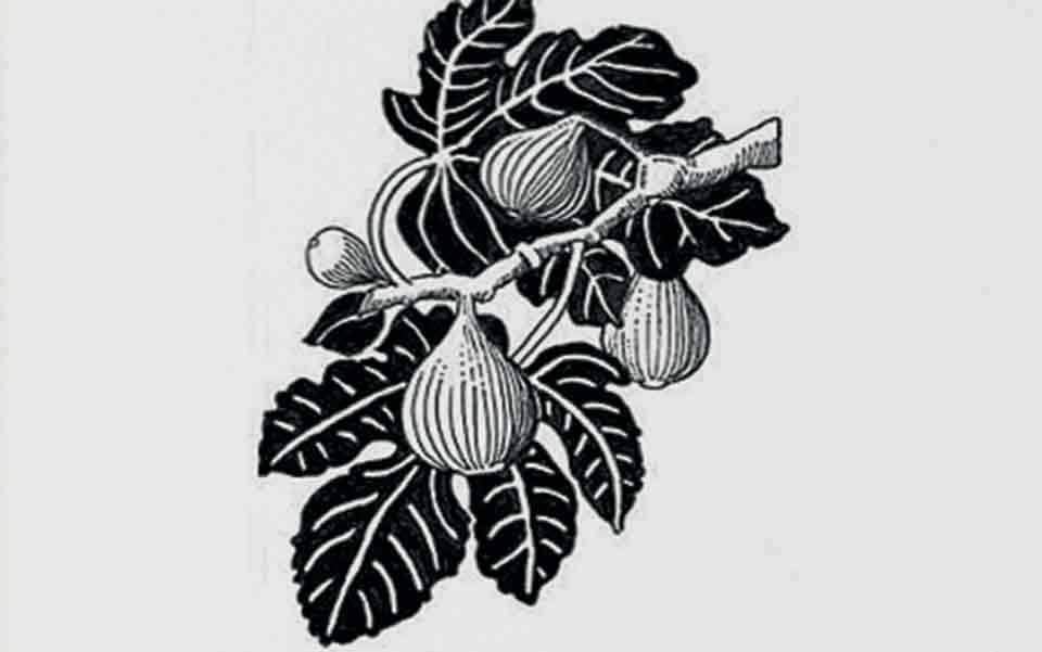 καθαρή-αμιγής-ατόφια-λογοτεχνία-561466264