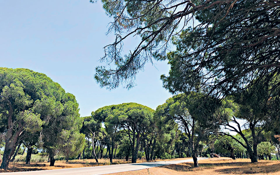 υπό-έρευνα-η-ανθεκτικότητα-των-ελληνι-561463411