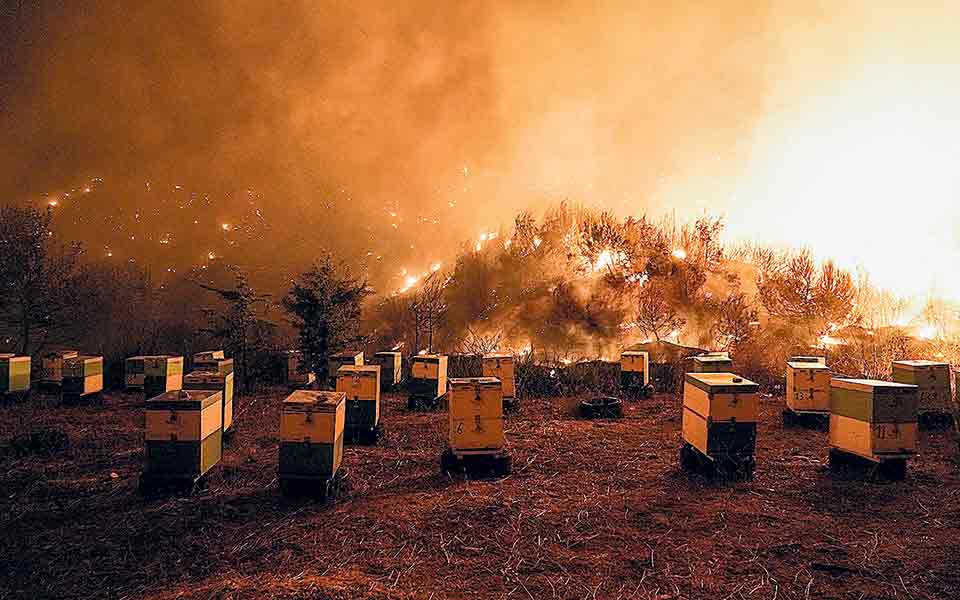 τα-επόμενα-χρόνια-561466132