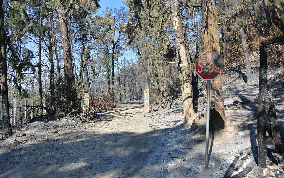 Τατόι – ΥΠΠΟ: «Οι απώλειες δεν ήταν μεγάλες»-1