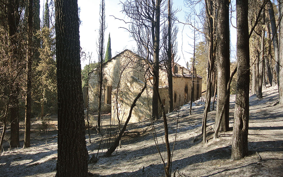 τατόι-υππο-οι-απώλειες-δεν-ήταν-μεγ-561464455