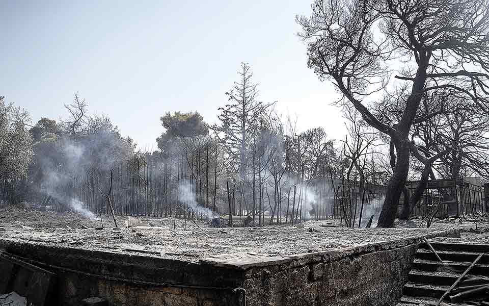 εκεί-όπου-τα-δάση-αγκαλιάζουν-τις-κατο-561466345