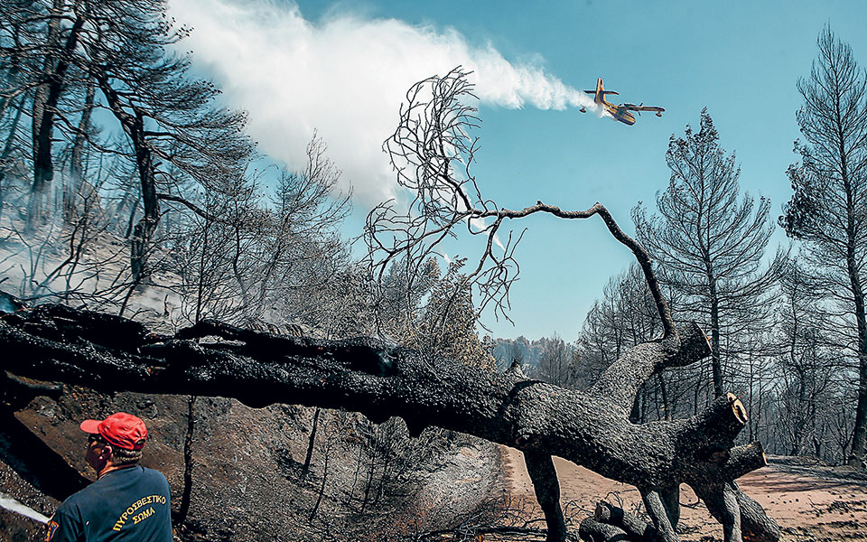 φωτιές-τι-έφταιξε-στην-επιχείρηση-κατ-561468085