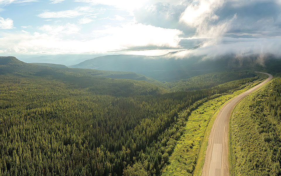 αναδάσωση-με-στόλο-drones-στον-καναδά-561469003