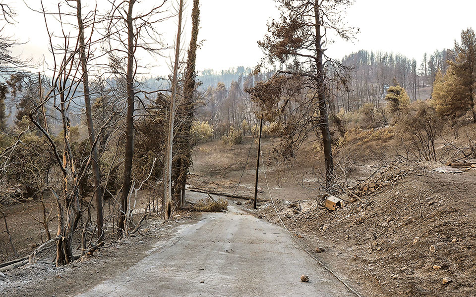 Κάτοικοι της Βόρειας Εύβοιας μιλούν στην «Κ»: «Θα το πρασινίσουμε ξανά το δάσος»-1