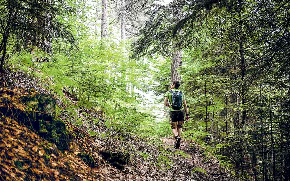 διχάζει-το-ενδεχόμενο-εισιτηρίου-στο-561469822