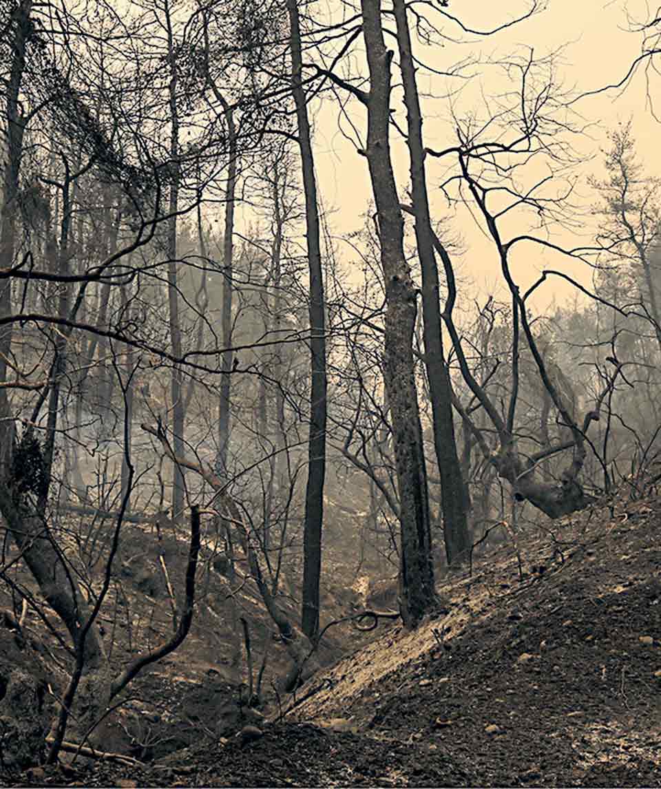 Οι άξονες του σχεδίου Μπένου για την Εύβοια-1