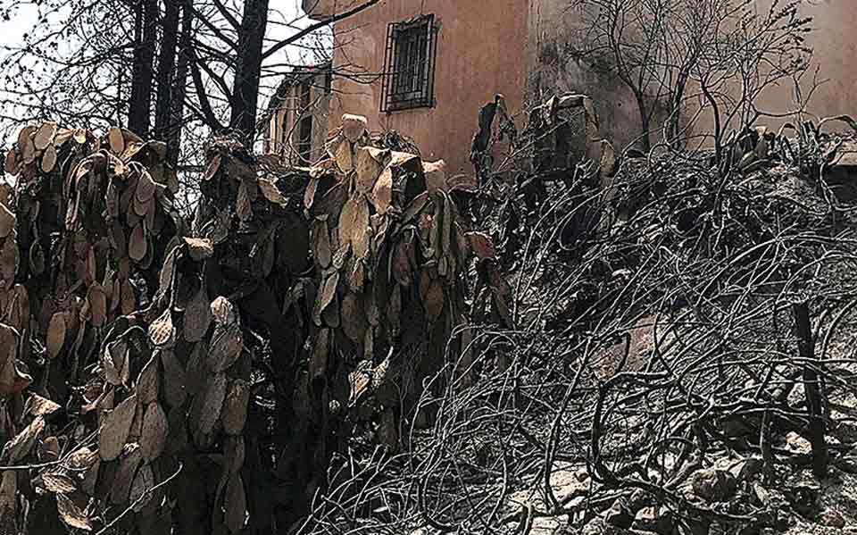 τραγικός-θάνατος-εθελοντή-πυροσβέστ-561470623