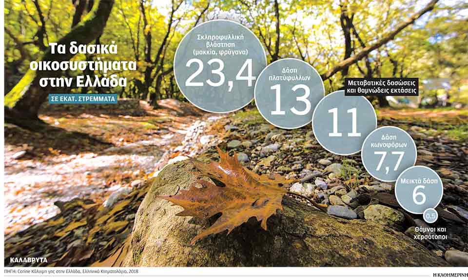 Ηρθε η ώρα για ριζικές αλλαγές στα δασαρχεία-1