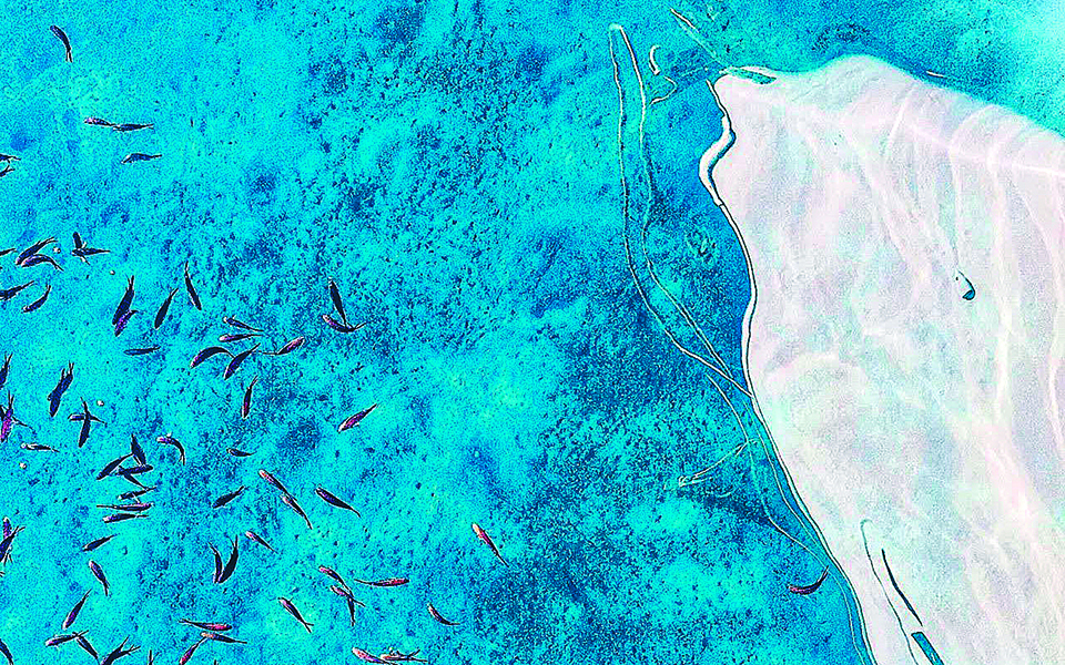 η-καλοκαιρινή-ομορφιά-βρίσκει-στέγη-σ-561471622