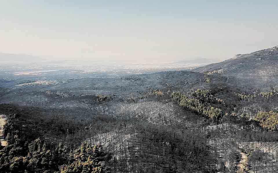 από-τη-γαλλία-στο-ελληνικό-μάτι-561473353