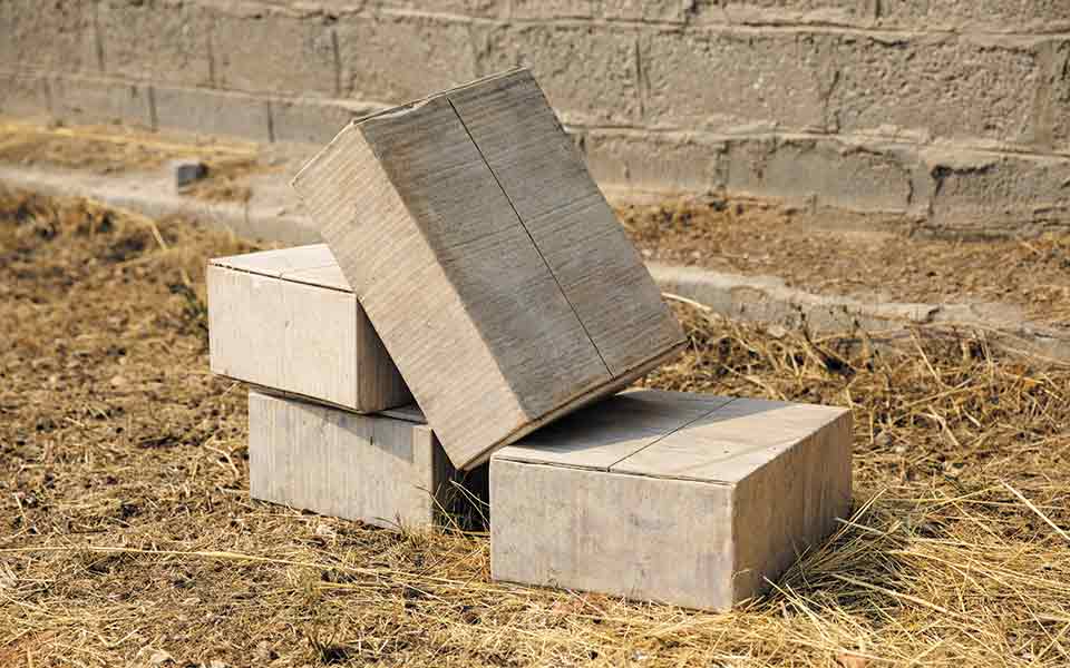 Μια ιδιότυπη «ανασκαφή» από μάρμαρο-2