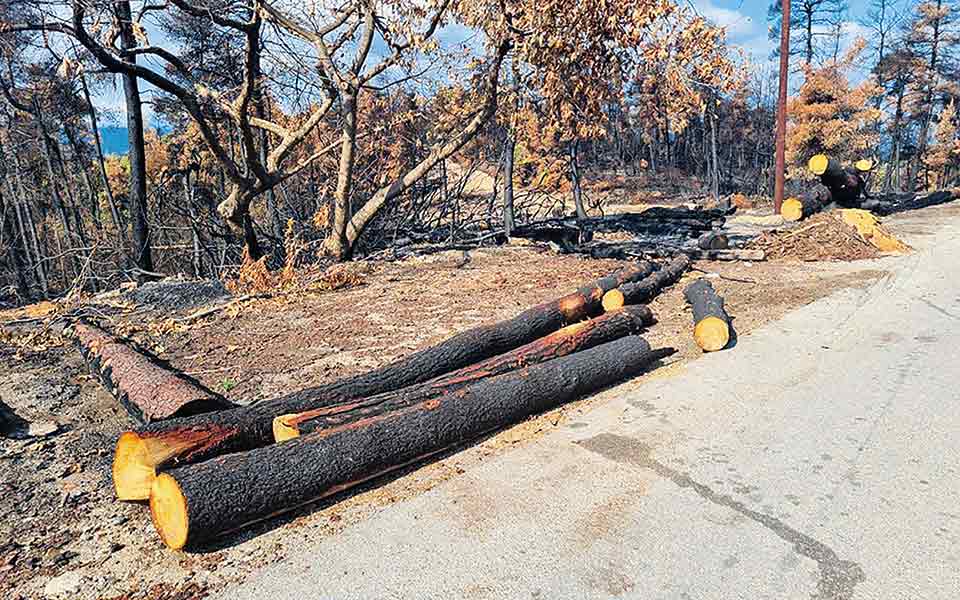 αντιπλημμυρική-οχύρωση-της-βόρειας-ε-561474541