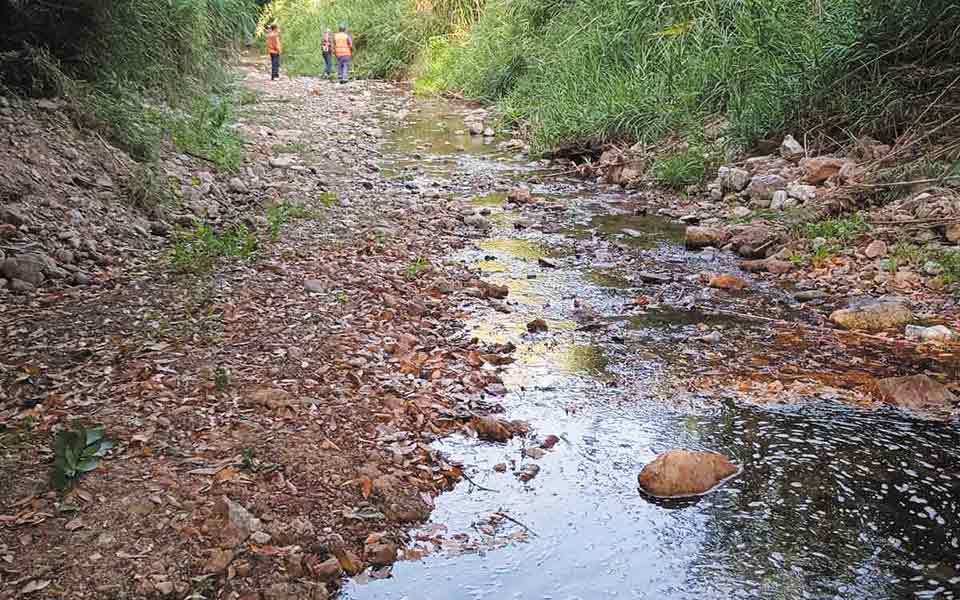 εντατικοί-καθαρισμοί-στα-ρέματα-της-α-561474547