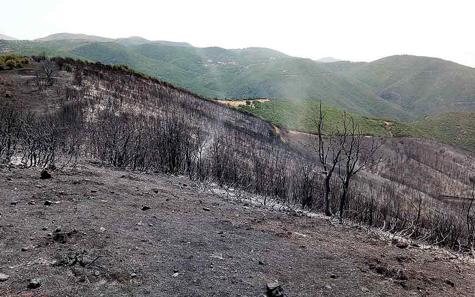 Τους ξέχασε το κράτος, τους θυμήθηκε η φωτιά-1