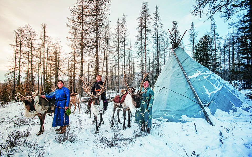 Οι τάρανδοι δείχνουν τον δρόμο για την κλιματική αλλαγή-2