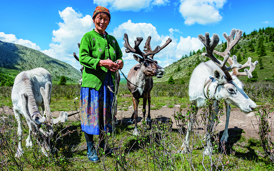 οι-τάρανδοι-δείχνουν-τον-δρόμο-για-την-561478267