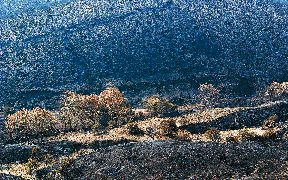 Καταστροφή και αναγέννηση-4