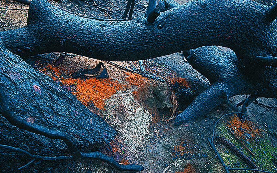Καταστροφή και αναγέννηση-1