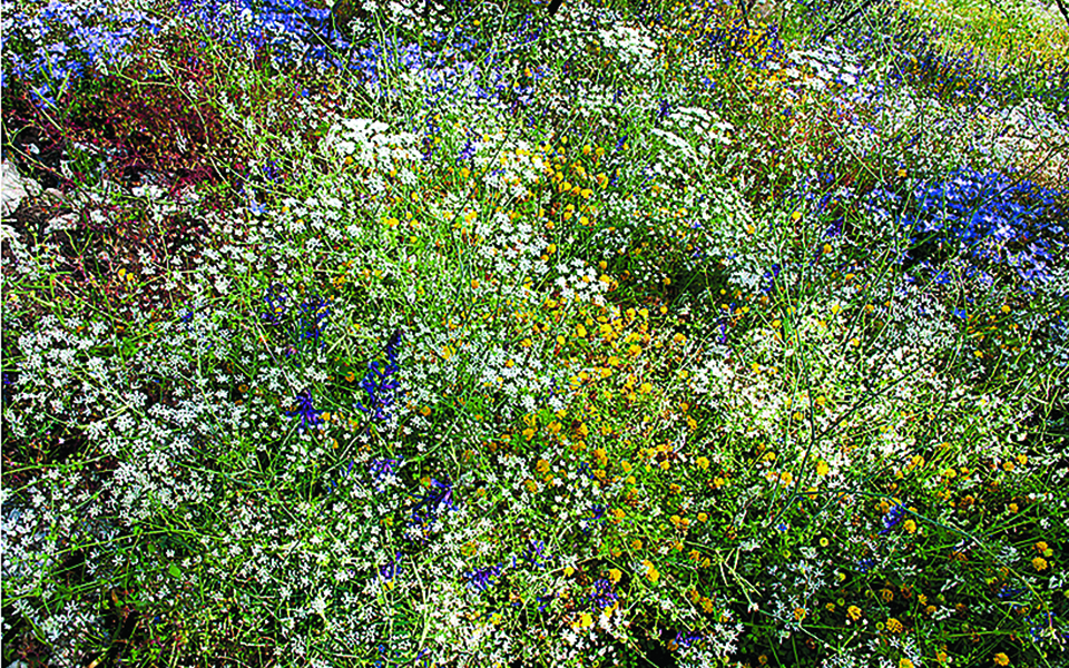 Καταστροφή και αναγέννηση-3