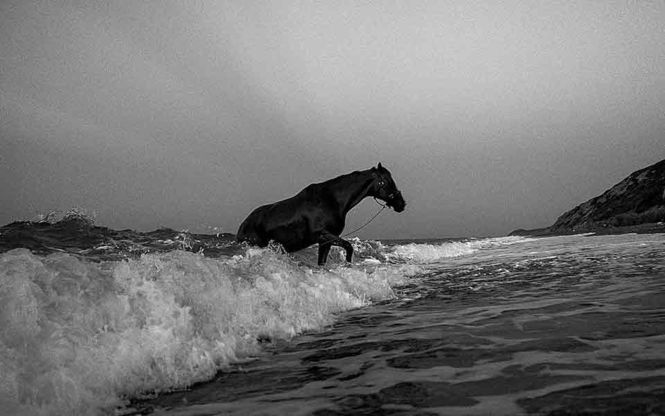 η-πολιτιστική-ατζέντα-του-σαββάτου-561477826