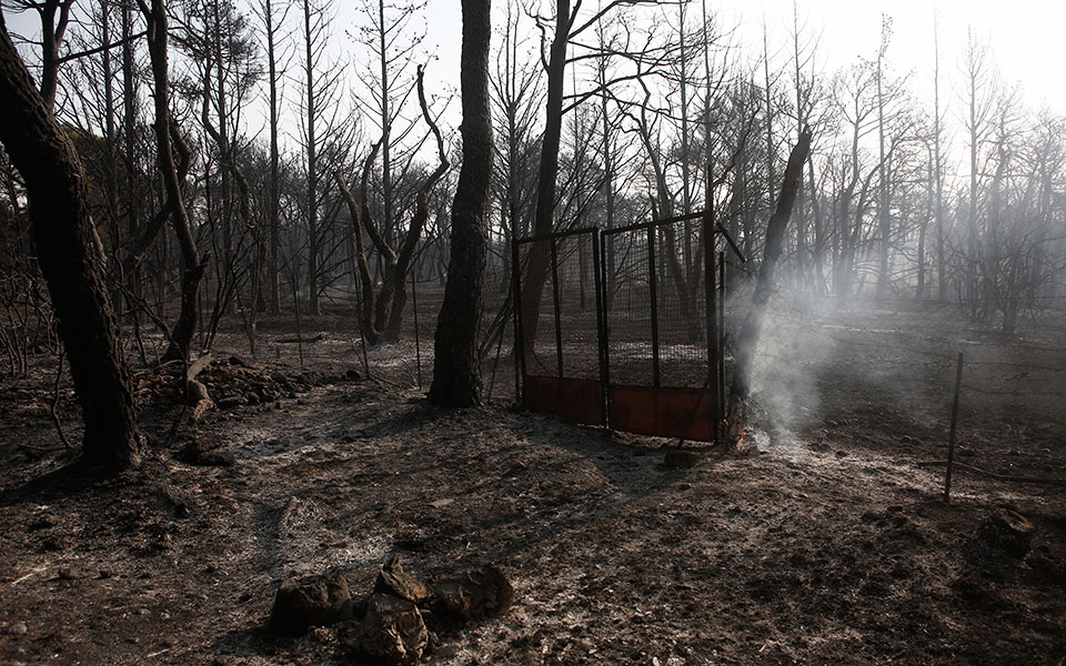 φωτιά-στη-βαρυμπόμπη-θα-αναγεννηθεί-561457726