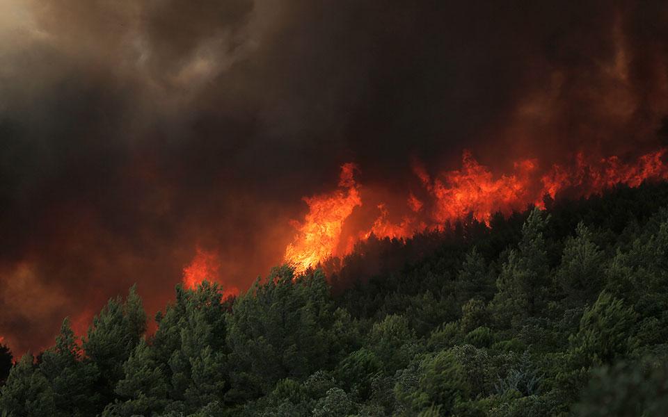 αντιπεριφερειάρχης-αν-αττικής-οι-πολ-561460006