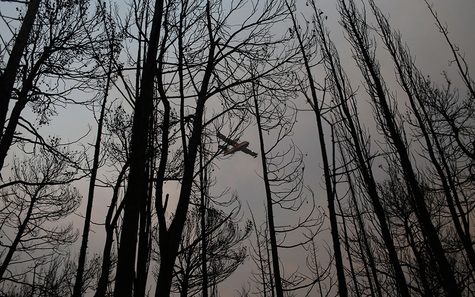 φωτιά-στη-βόρεια-αττική-στάχτη-το-κτήμ-561460045