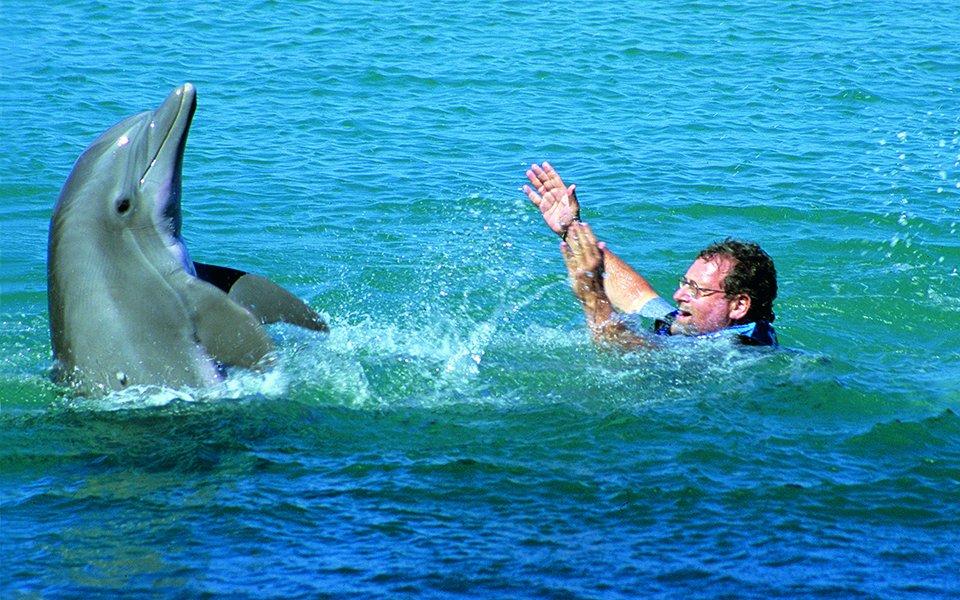 Oι ταξιδιωτικές οδηγίες του travel detective-4