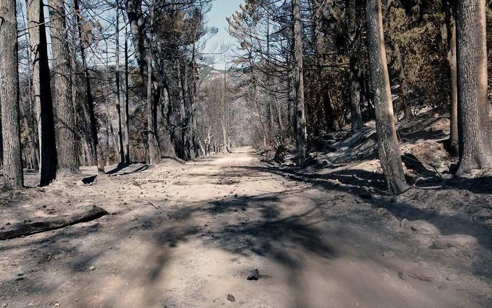 το-απόγευμα-ανακοινώνονται-τα-μέτρα-σ-561462556