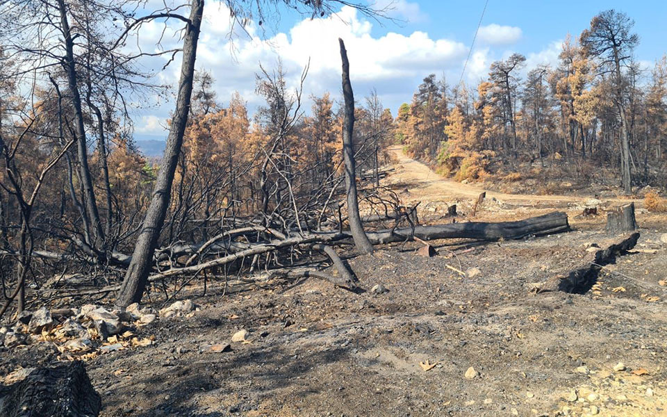 Φωτιές σε Εύβοια και Βαρυμπόμπη: Άρχισε ο καθαρισμός των καμένων εκτάσεων και τα αντιπλημμυρικά έργα-1