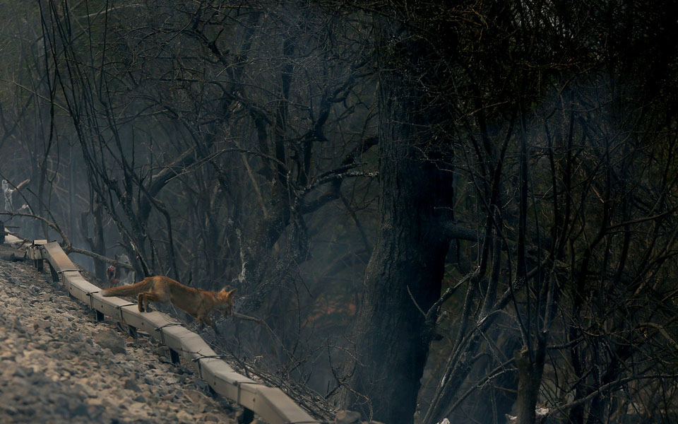 νέος-γενναίος-δυστοπικός-κόσμος-561459544
