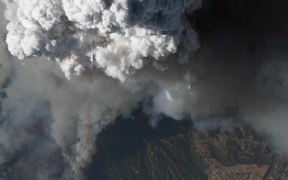 ανάσχεση-των-πυρκαγιών-με-χαρουπιές-561459979