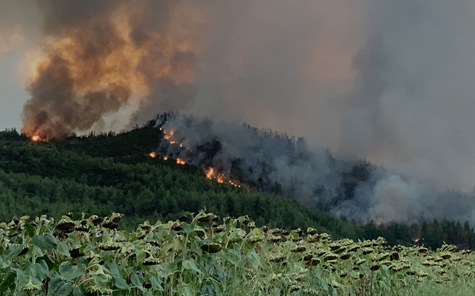 εκτός-ελέγχου-η-κατάσταση-στην-εύβοια-561460906