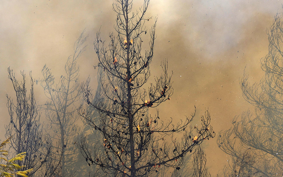 μαίνεται-το-πύρινο-μέτωπο-στη-γορτυνί-561463390