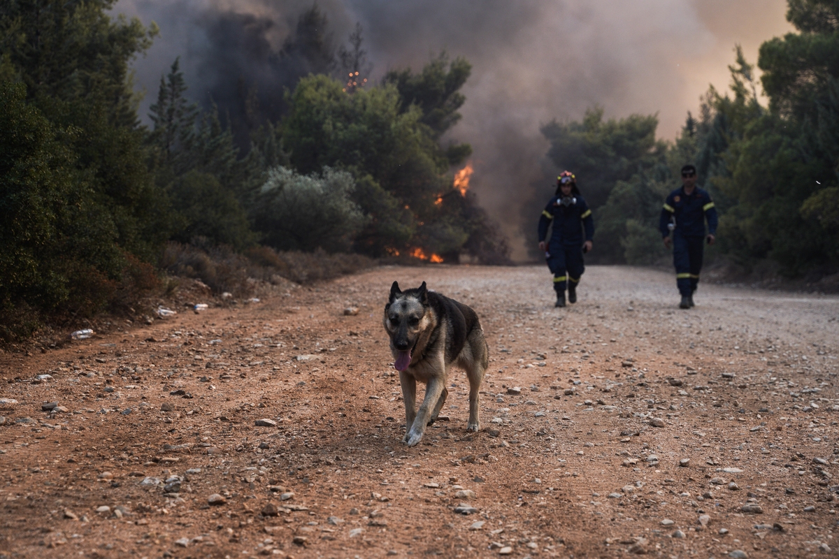 Φωτιά στην Βαρυμπόμπη: Δραματικές ώρες, τεράστια καταστροφή-8