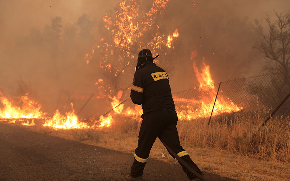 χαρδαλιάς-για-εμπρησμούς-τρεις-συλλή-561459892