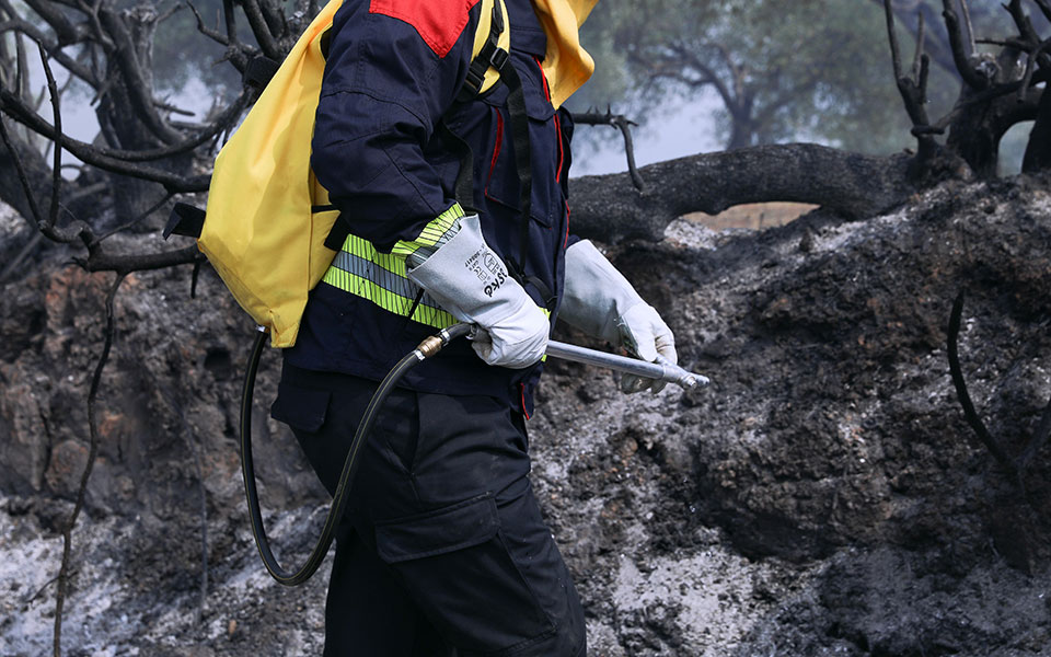 άδ-γεωργιάδης-οι-ευθύνες-θα-καταλογισ-561464530