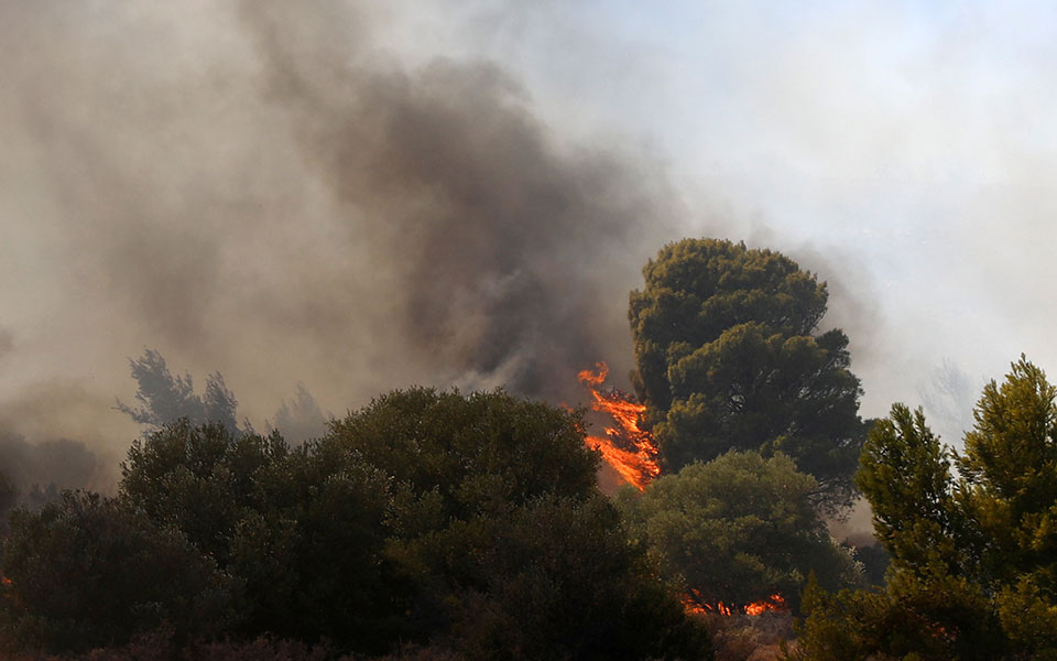 φωτιά-στο-μετόχι-δεν-κινδυνεύουν-κατο-561472486