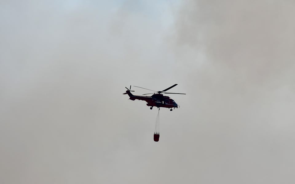 ζάκυνθος-προσαγωγή-αλλοδαπού-για-τη-φ-561472048