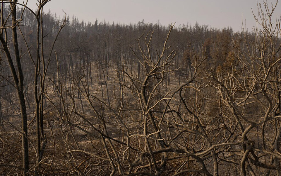 moodys-η-κλιματική-αλλαγή-απειλεί-τον-ελλ-561464059