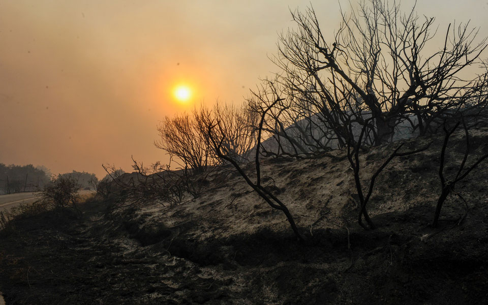πολύ-υψηλός-κίνδυνος-πυρκαγιάς-την-τρ-561454594