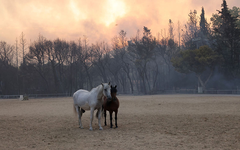 φωτιά-στη-βαρυμπόμπη-με-υπεράνθρωπες-561457129