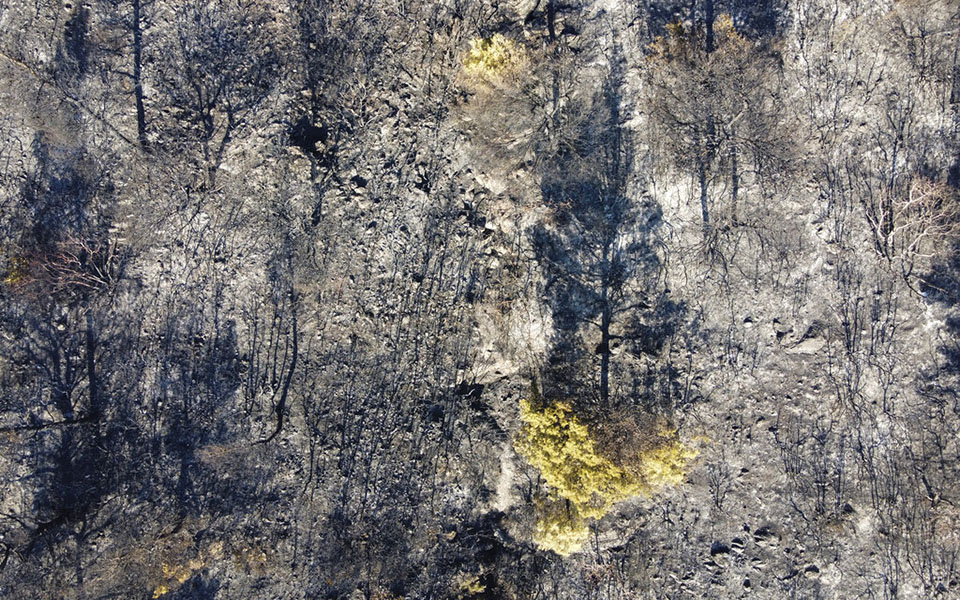 φωτιές-σε-αττική-και-εύβοια-εικόνες-απ-561461398