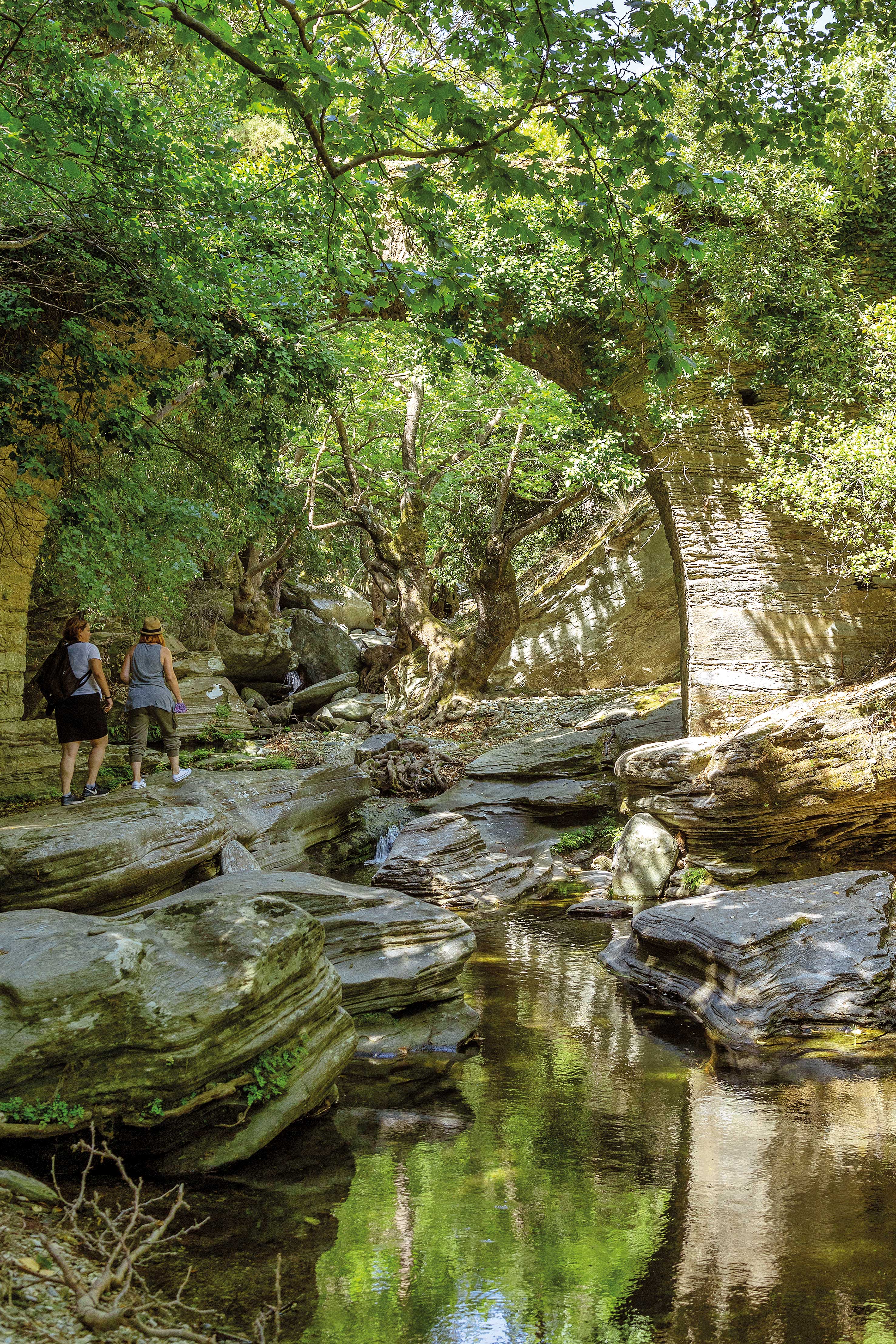 Άνδρος: Η τέχνη είναι μόνο η αφορμή-5
